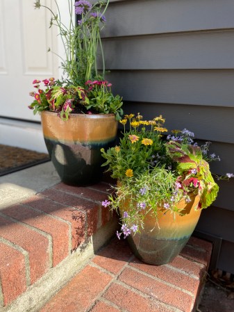 Sunnydaze Ceramic Planter Pot Review